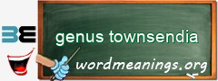 WordMeaning blackboard for genus townsendia